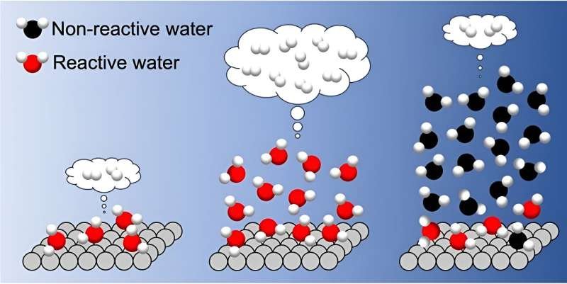 Positive and negative impacts of interfacial hydrogen bonds on photocatalytic hydrogen evolution