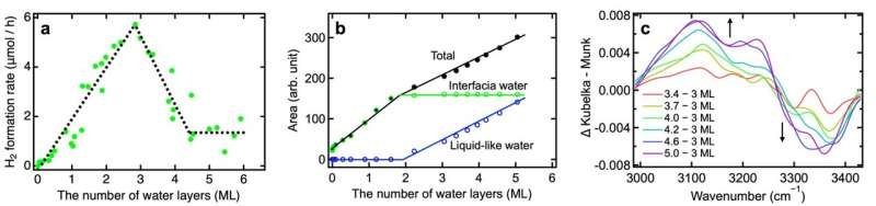 Positive and negative impacts of interfacial hydrogen bonds on photocatalytic hydrogen evolution