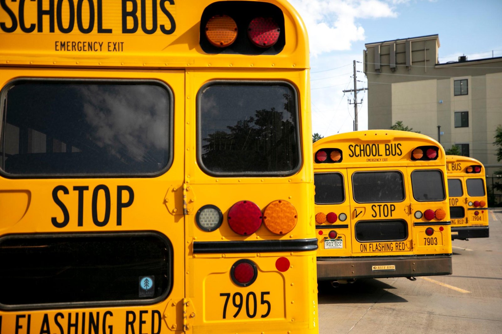 Three yellow school buses, in a row, seen from behind.