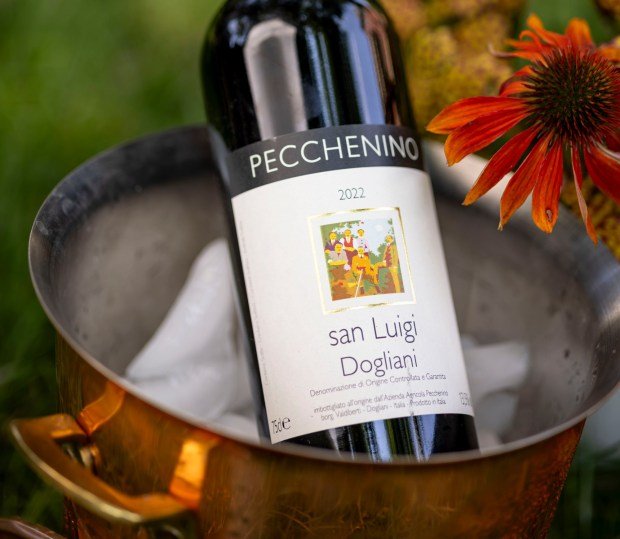 Chillable red wine Pecchenino San Luigi Dogliani. (Brian Cassella/Chicago Tribune)