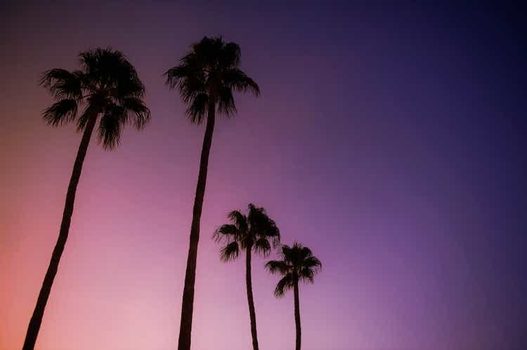 Silhouette of palm trees against purple night sky