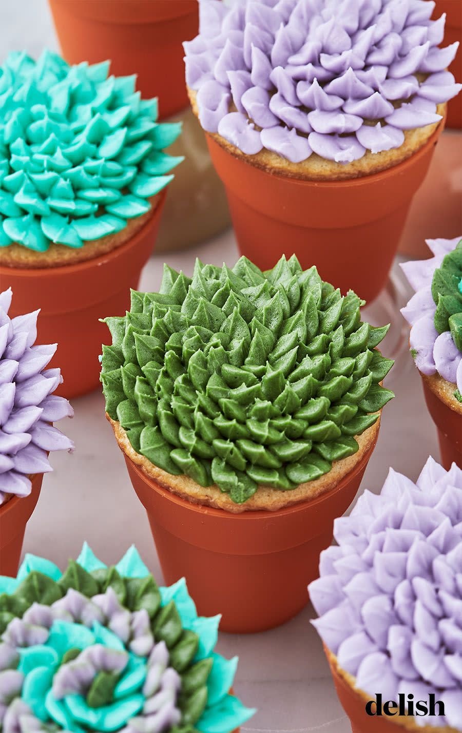 succulent cupcakes