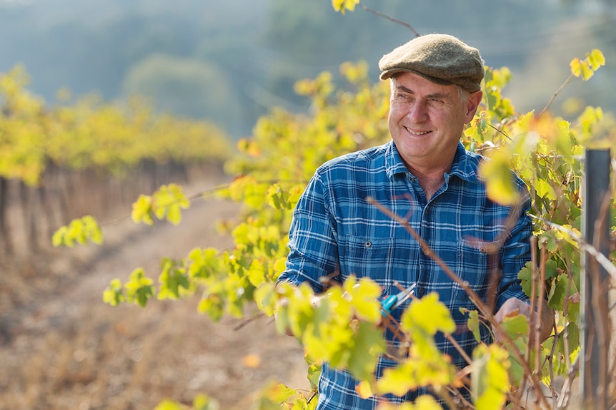 Don Farrell on vineyard