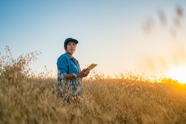 A young farmer holding a digital tablet in a crop field. Smart farming.