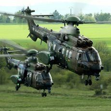 L'armée conduit actuellement une opération d'entraînement baptisée Orion.