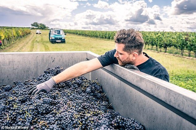 Go local! Naked Wines makes it their mission to connect you to the best local winemakers on the market at a fraction of the typical cost.