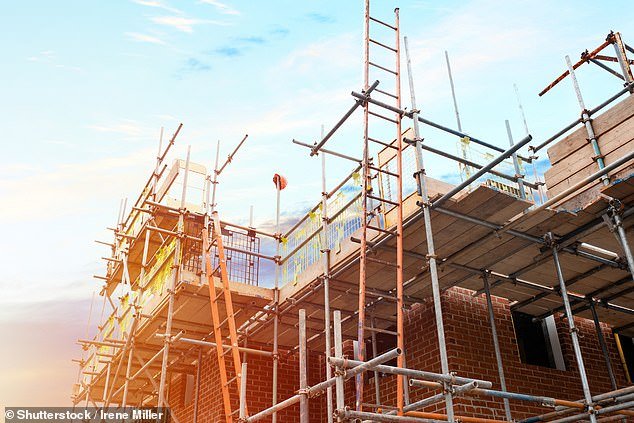 No chance: Anna thinks the Government is set to fall short of delivering its promise to build 1.5 million homes by 2029