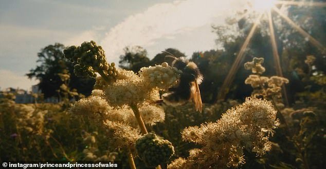 Bees were a common theme in the clip - and Kate previously showed her fondness of bee keeping on World Bee Day