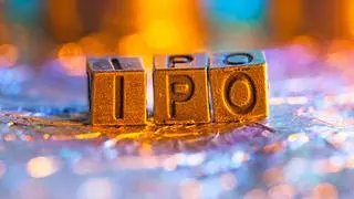 The industrial sector led with 13 IPOs collectively raising ₹2,176 crore.