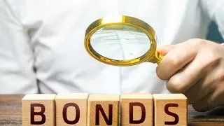 Global bond funds investing through the Fully Accessible Route (FAR) have been the largest buyers of Indian debt