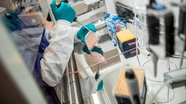 This stock’s investments are hitting major milestones