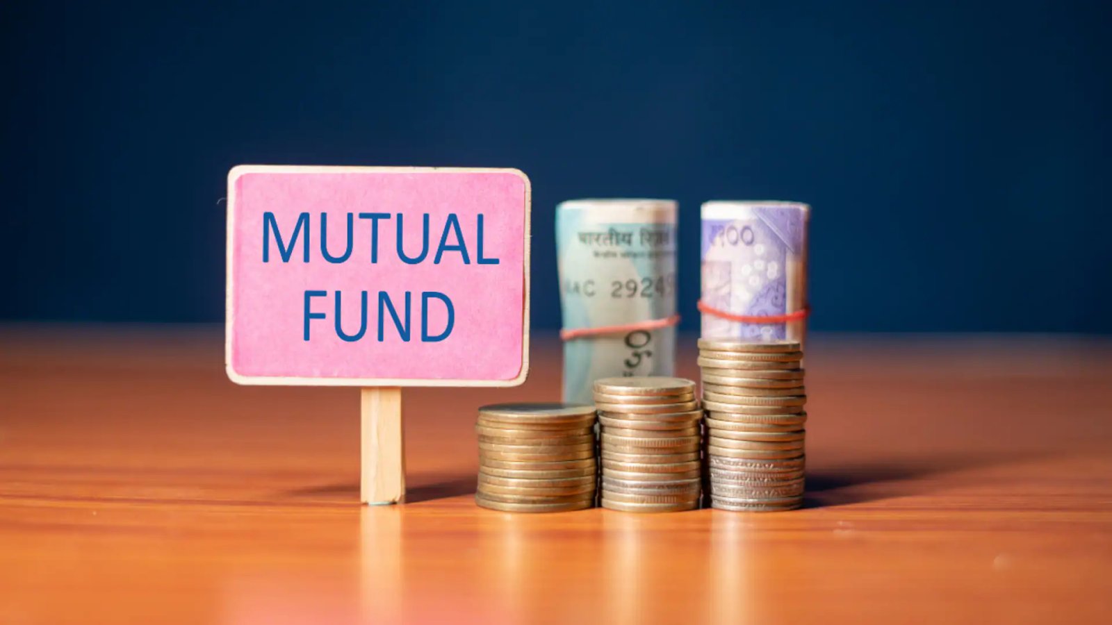 Mutual fund categories that stood out in 2025