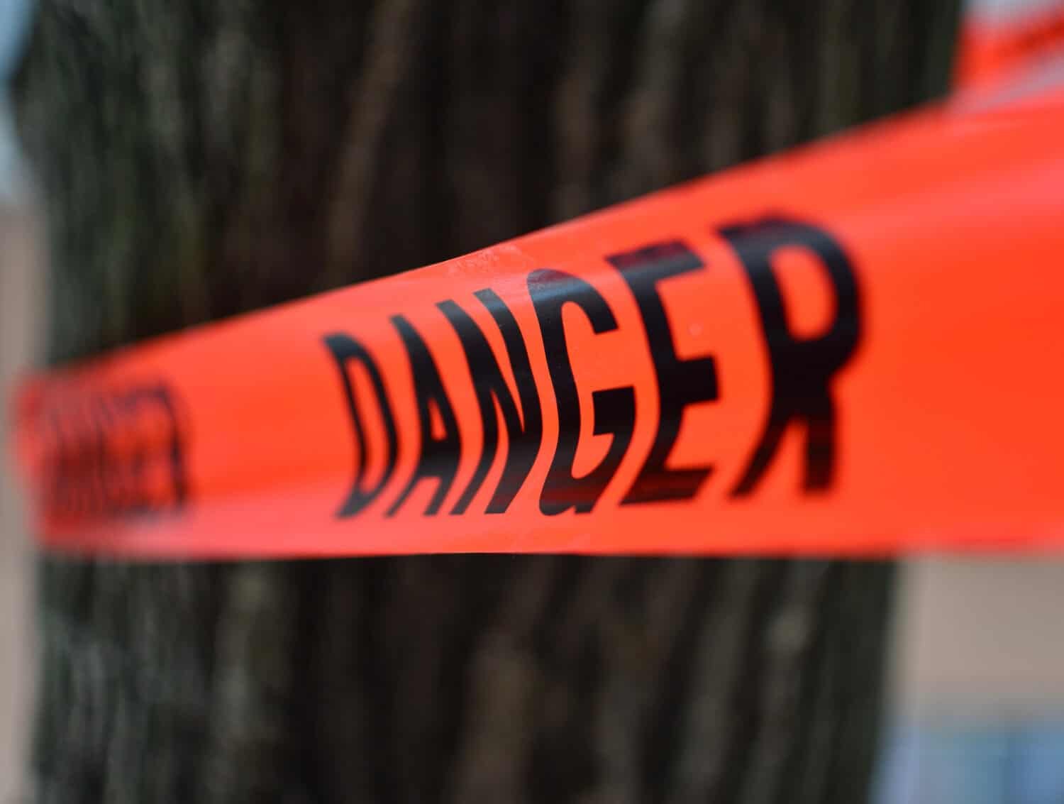 WARNING: Only One Covered Call ETFs Is Worth Owning in 2026