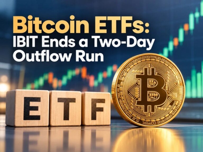 Bitcoin ETFs Own Just 8.5% of BTC as IBIT Ends a Two-Day Outflow Run: Can BTC USD Hold $79,200?